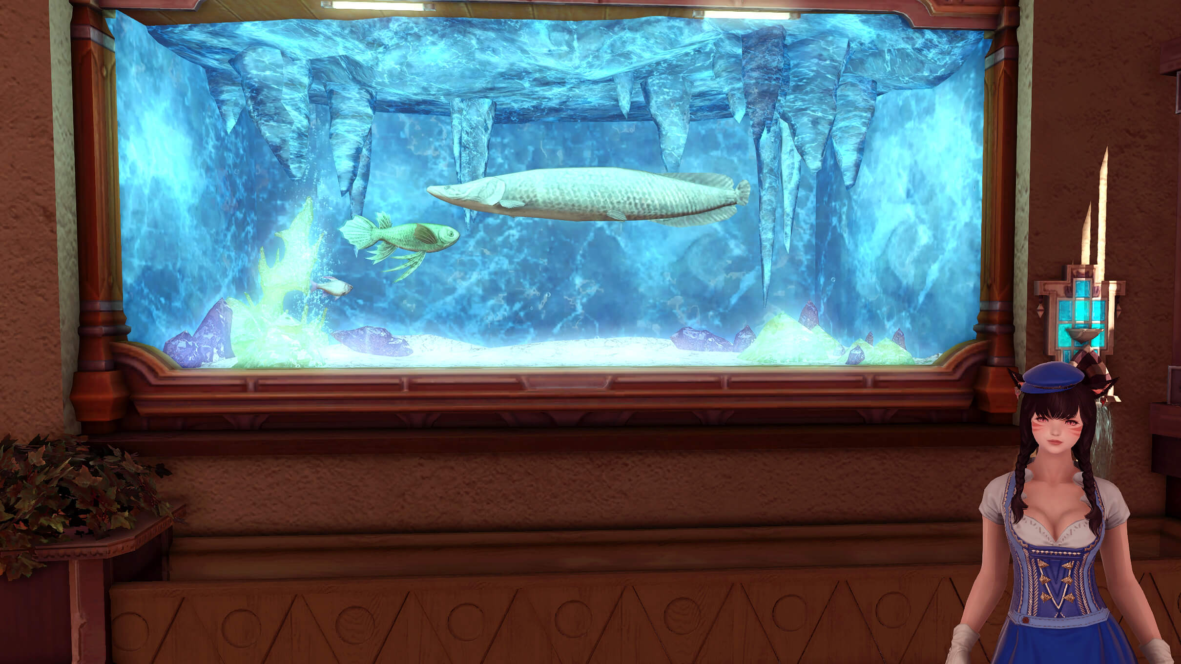 水族館で不純行為をするのは絶対にやめて下さい ぶらりff14